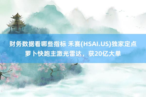 财务数据看哪些指标 禾赛(HSAI.US)独家定点萝卜快跑主激光雷达，获20亿大单