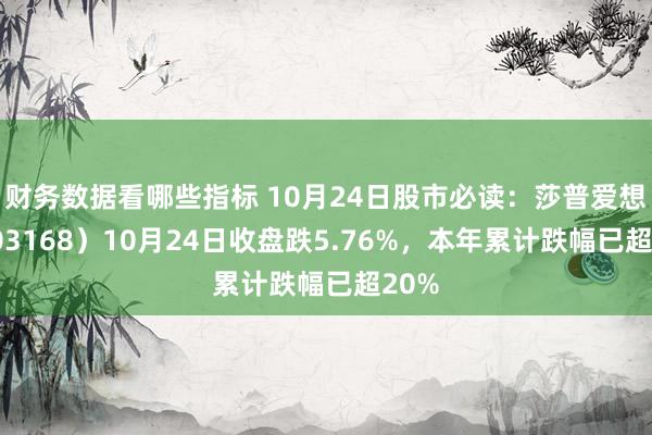 财务数据看哪些指标 10月24日股市必读：莎普爱想（603168）10月24日收盘跌5.76%，本年累计跌幅已超20%