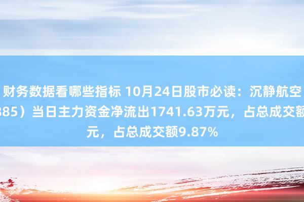 财务数据看哪些指标 10月24日股市必读：沉静航空（603885）当日主力资金净流出1741.63万元，占总成交额9.87%