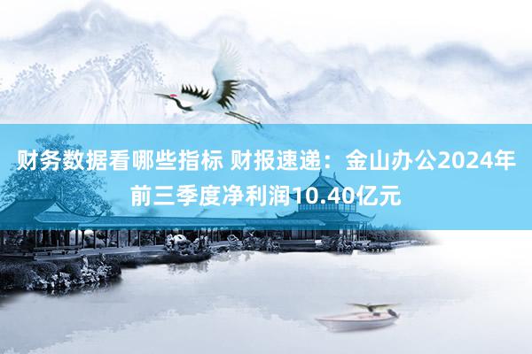 财务数据看哪些指标 财报速递：金山办公2024年前三季度净利润10.40亿元