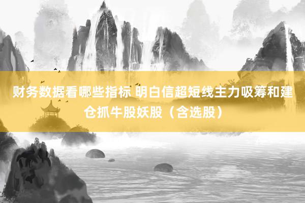 财务数据看哪些指标 明白信超短线主力吸筹和建仓抓牛股妖股（含选股）