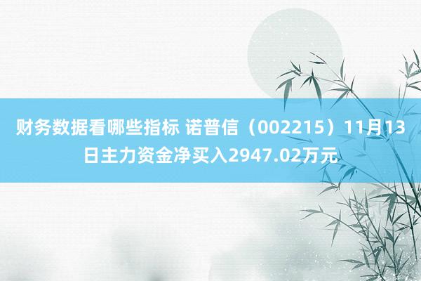 财务数据看哪些指标 诺普信（002215）11月13日主力资金净买入2947.02万元