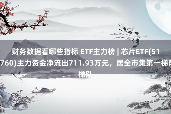 财务数据看哪些指标 ETF主力榜 | 芯片ETF(51276