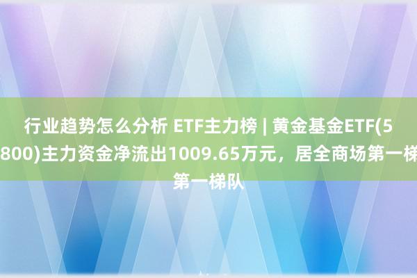 行业趋势怎么分析 ETF主力榜 | 黄金基金ETF(518800)主力资金净流出1009.65万元，居全商场第一梯队