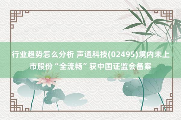 行业趋势怎么分析 声通科技(02495)境内未上市股份“全流畅”获中国证监会备案