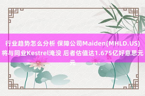 行业趋势怎么分析 保障公司Maiden(MHLD.US)将与