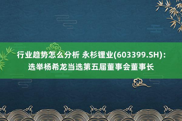 行业趋势怎么分析 永杉锂业(603399.SH)：选举杨希龙