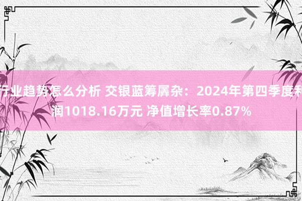 行业趋势怎么分析 交银蓝筹羼杂：2024年第四季度利润101