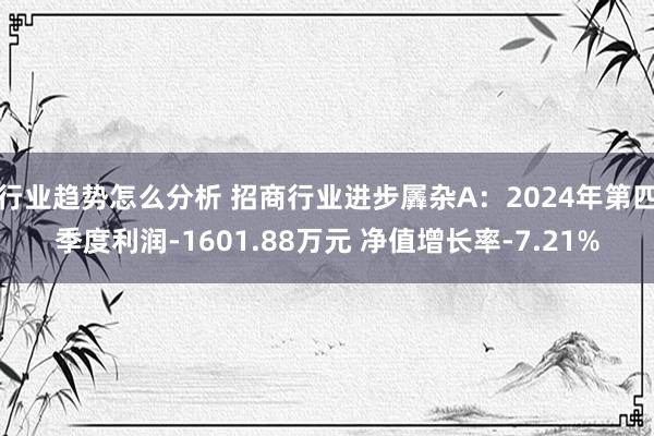 行业趋势怎么分析 招商行业进步羼杂A：2024年第四季度利润