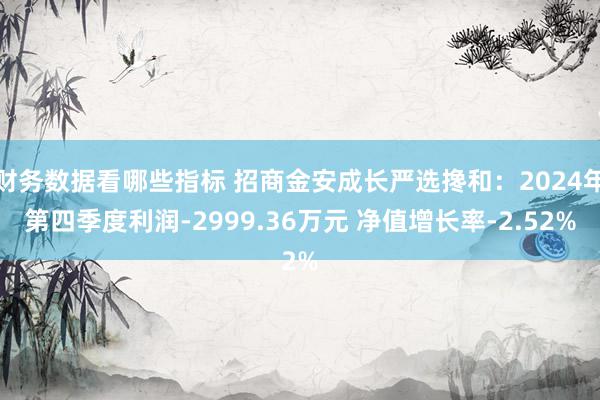 财务数据看哪些指标 招商金安成长严选搀和：2024年第四季度