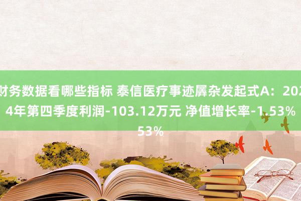 财务数据看哪些指标 泰信医疗事迹羼杂发起式A：2024年第四季度利润-103.12万元 净值增长率-1.53%