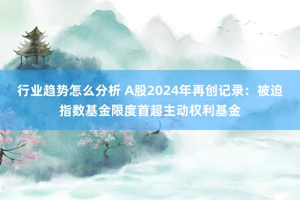 行业趋势怎么分析 A股2024年再创记录：被迫指数基金限度首