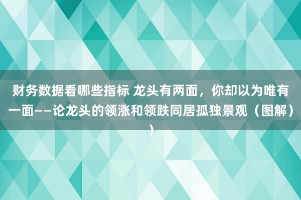 财务数据看哪些指标 龙头有两面，你却以为唯有一面——论龙头的领涨和领跌同居孤独景观（图解）