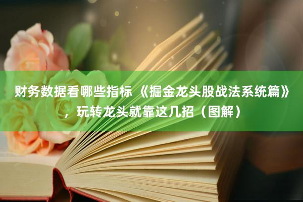 财务数据看哪些指标 《掘金龙头股战法系统篇》，玩转龙头就靠这几招（图解）