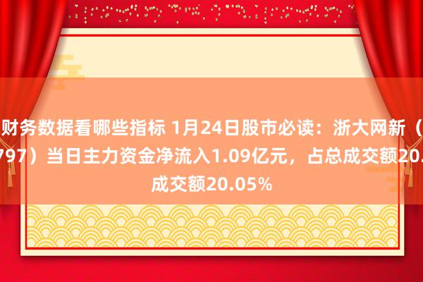 财务数据看哪些指标 1月24日股市必读：浙大网新（60079