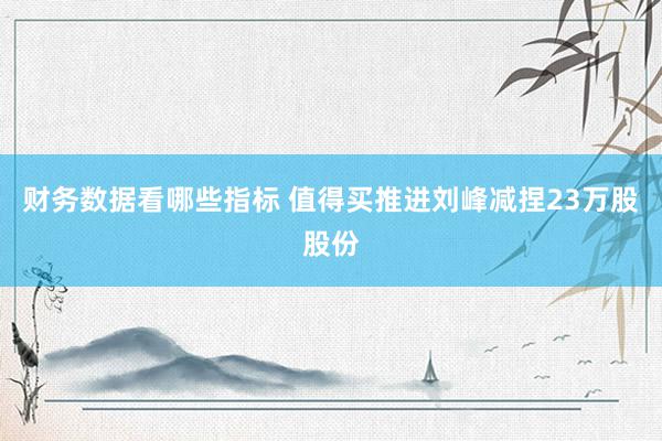 财务数据看哪些指标 值得买推进刘峰减捏23万股股份