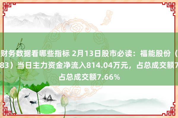 财务数据看哪些指标 2月13日股市必读：福能股份（600483）当日主力资金净流入814.04万元，占总成交额7.66%