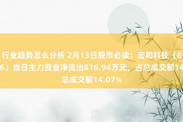 行业趋势怎么分析 2月13日股市必读：宏和科技（603256）当日主力资金净流出816.94万元，占总成交额14.07%