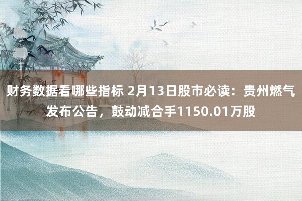 财务数据看哪些指标 2月13日股市必读：贵州燃气发布公告，鼓动减合手1150.01万股