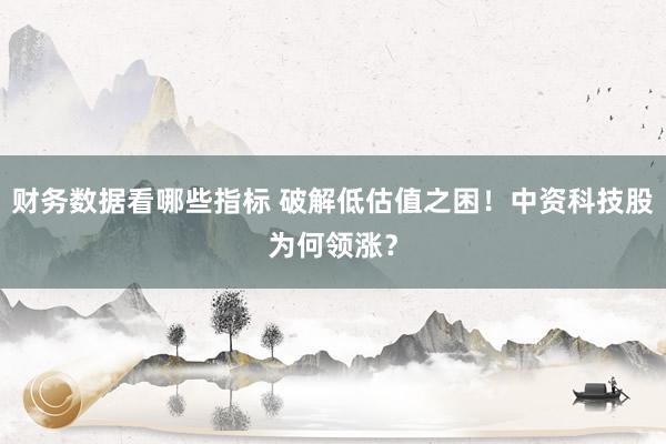 财务数据看哪些指标 破解低估值之困！中资科技股为何领涨？