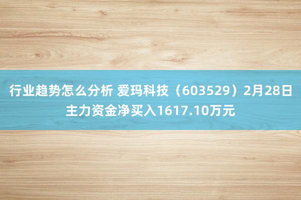 行业趋势怎么分析 爱玛科技（603529）2月28日主力资金净买入1617.10万元