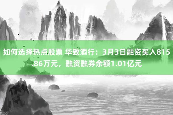 如何选择热点股票 华致酒行：3月3日融资买入815.86万元，融资融券余额1.01亿元