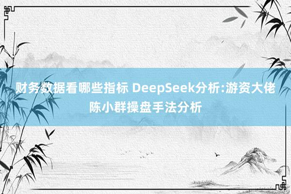 财务数据看哪些指标 DeepSeek分析:游资大佬陈小群操盘手法分析