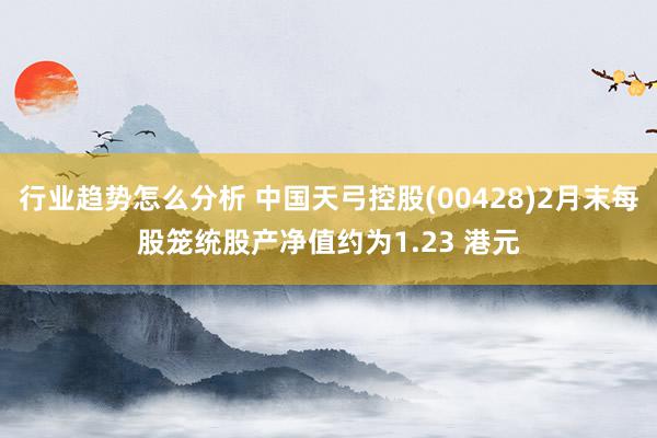 行业趋势怎么分析 中国天弓控股(00428)2月末每股笼统股产净值约为1.23 港元