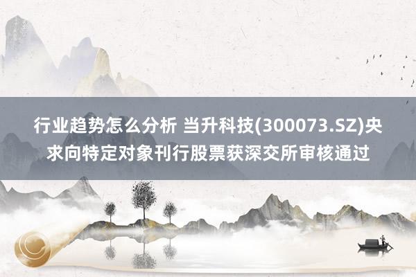 行业趋势怎么分析 当升科技(300073.SZ)央求向特定对