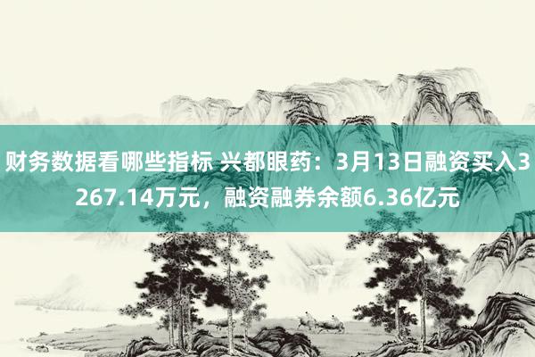 财务数据看哪些指标 兴都眼药：3月13日融资买入3267.1