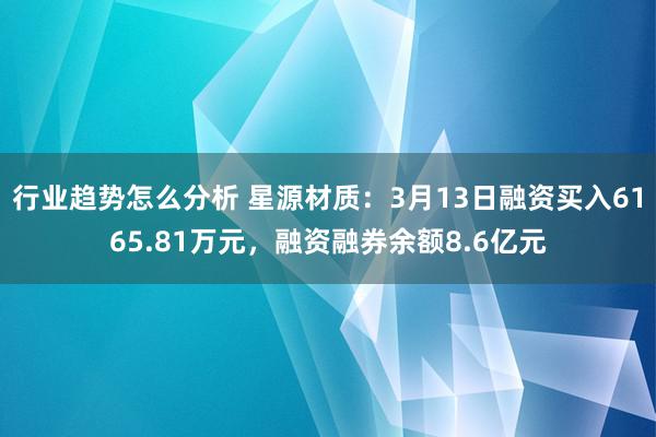 行业趋势怎么分析 星源材质：3月13日融资买入6165.81