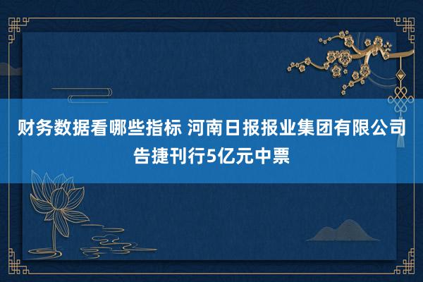 财务数据看哪些指标 河南日报报业集团有限公司告捷刊行5亿元中票