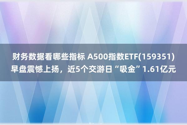 财务数据看哪些指标 A500指数ETF(159351)早盘震